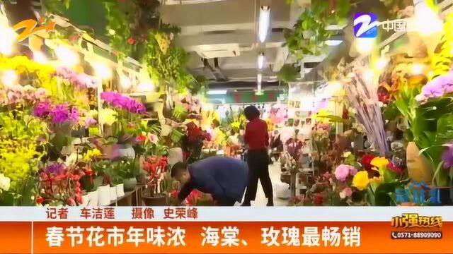 春节临近 杭州花鸟市场年味浓 海棠、玫瑰最畅销