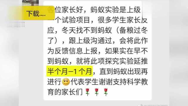 小学生奇葩寒假作业:观察蚂蚁逃出包围圈,家长愁坏:冬天没有