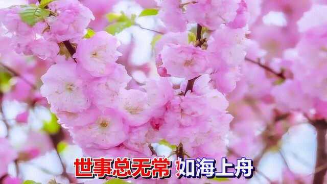 一首情歌《踏歌行》