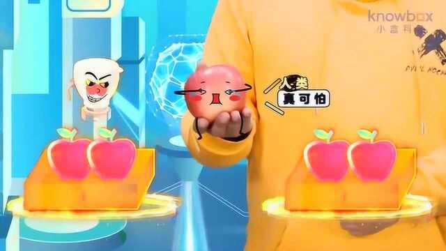 小盒课堂AI智能数学课丨六年级:认识抽屉原理