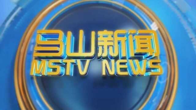 广西马山县广播电视台2020年2月16日马山新闻