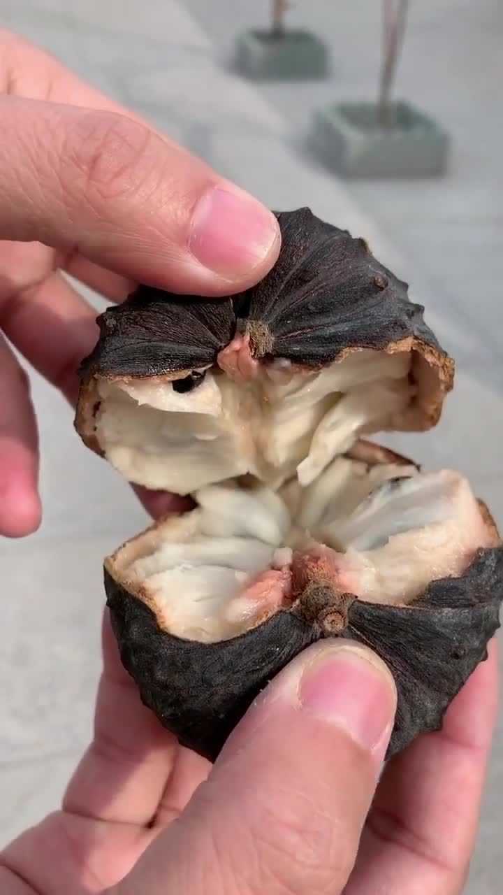 日常视频秀精彩瞬间释迦果放久了都变黑了还可以吃吗