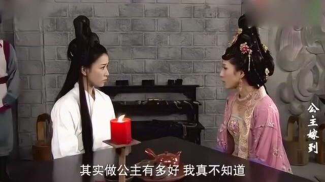 皇帝女儿自以为霸占了丫环身份,谁料她才是真凤凰,公主本就是她