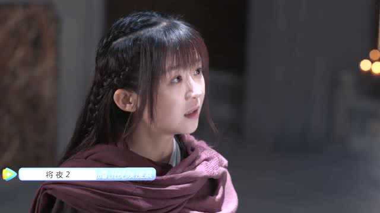 将夜2桑桑我是少爷的天女你是个猪智商呢