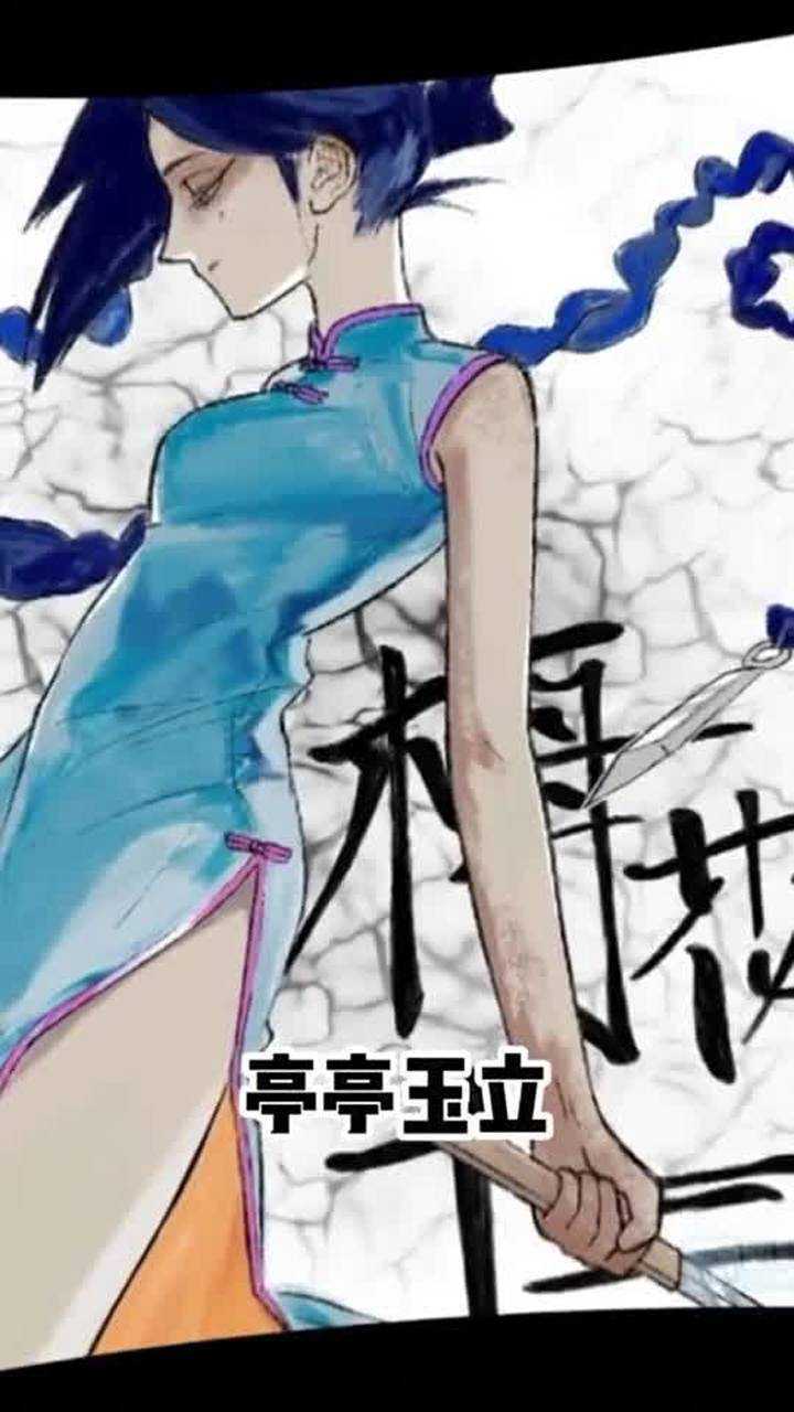 能量小视频梅花十三