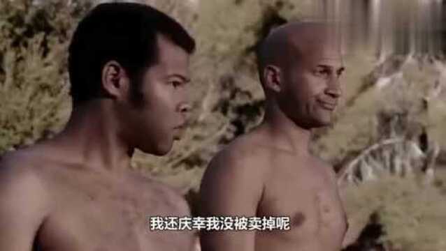 《黑人兄弟》爆笑片段:奴隶拍卖会,你太白了,卖不出去!