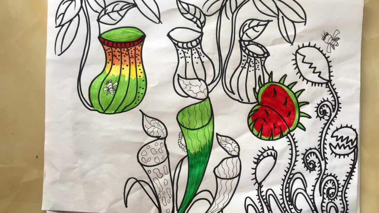 二年级美术吃虫草二