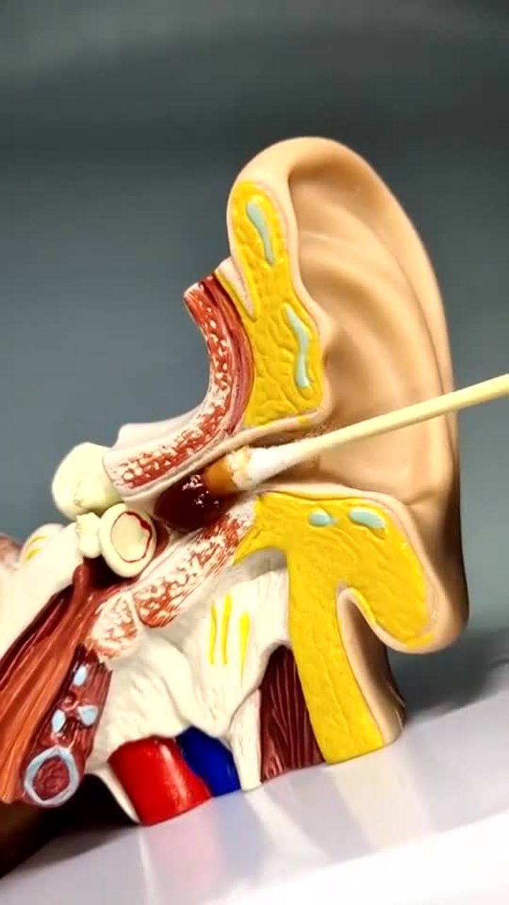 掏耳朵可以掏多深图片
