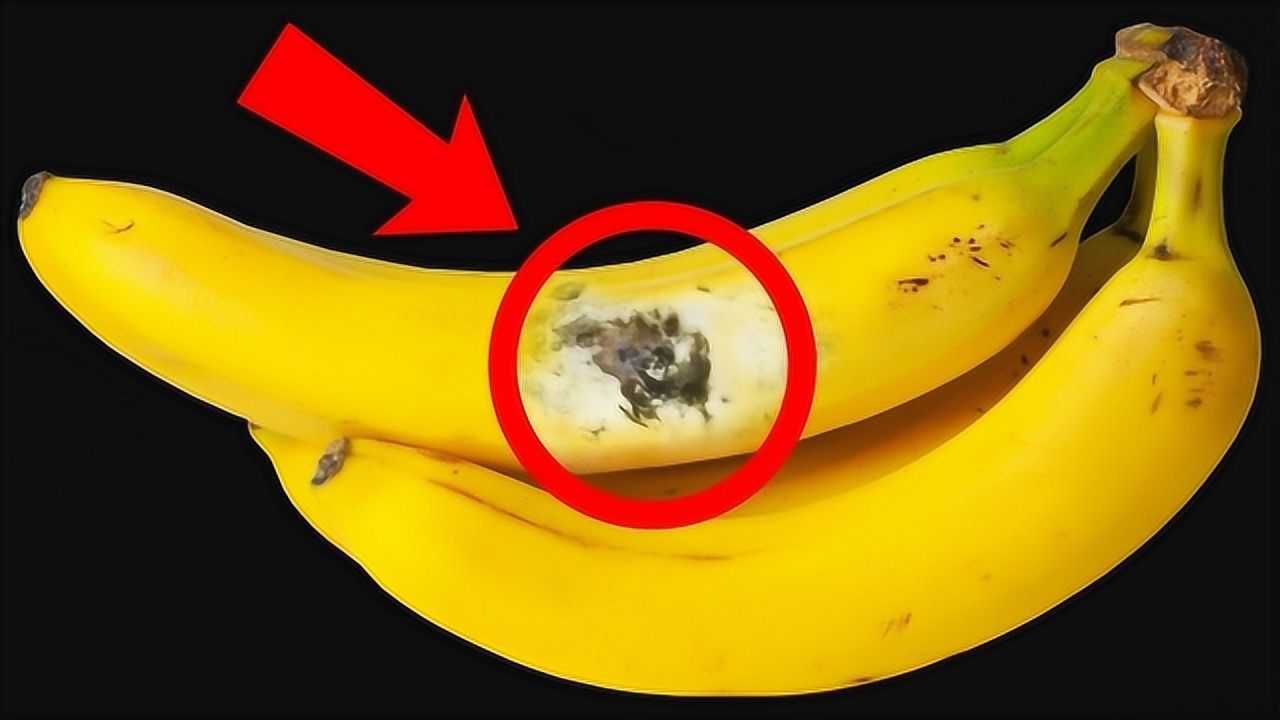 出现霉菌的香蕉,一定不要吃了,否则后悔都来不及