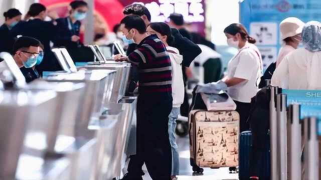 深圳机场2400余航班陆续复飞 全力打通返深复工“空中通道”