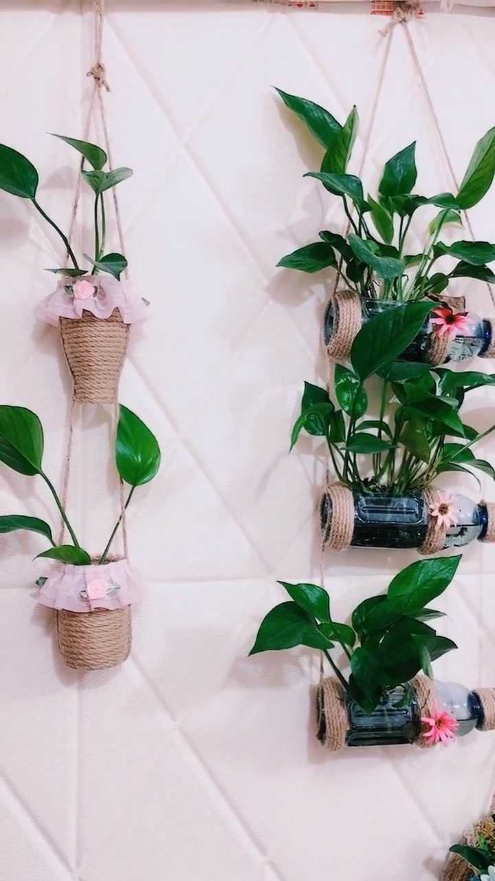 喝完的矿泉水瓶还可以这样再次利用制作成花篮也是不错的选择