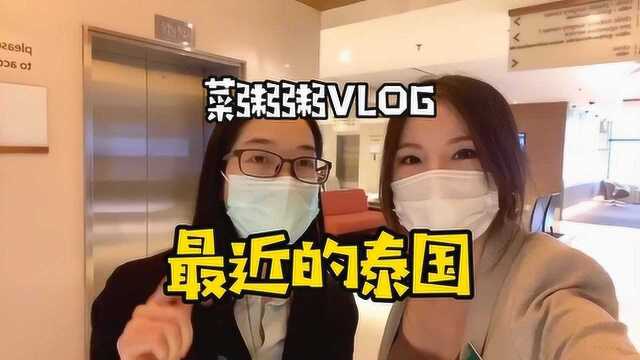 【菜粥粥泰国vlog82】参加泰国医院会议|在疫情期泰国的生活