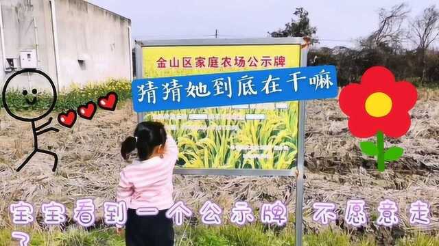 天气晴朗,我带着姐弟俩出来看油菜花.女儿看到一块告示牌为何停了下来