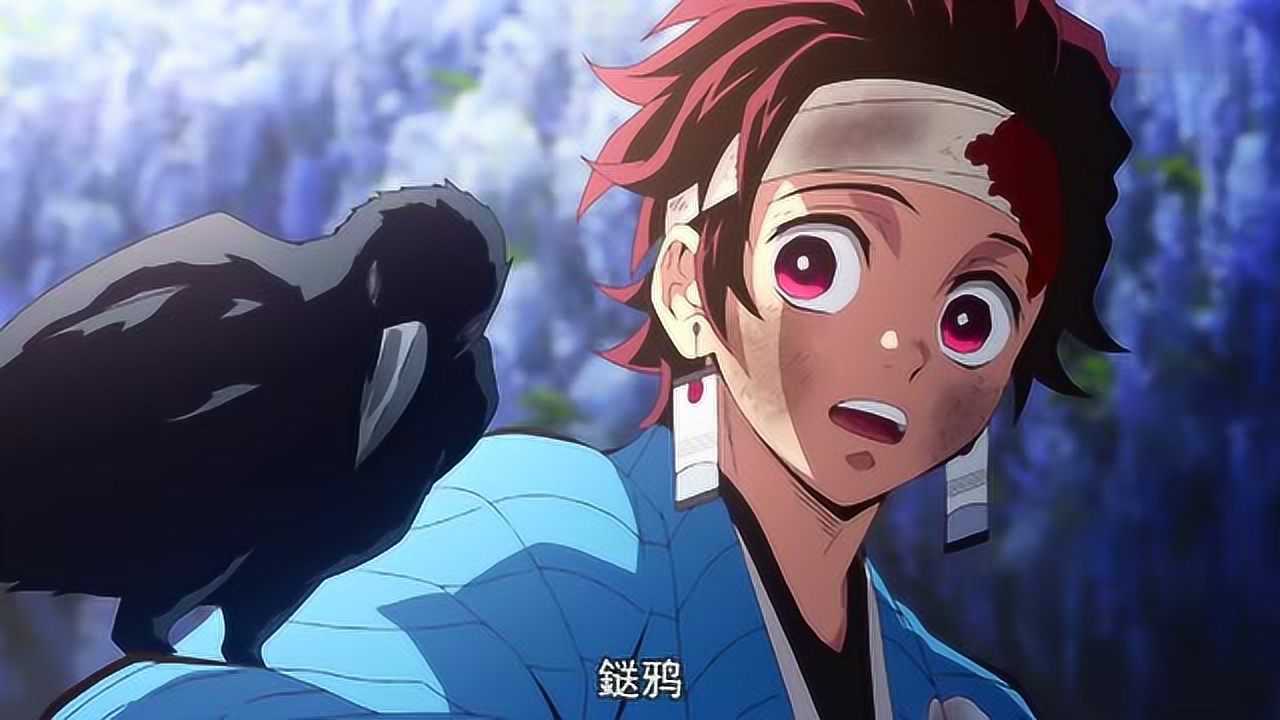 鬼灭之刃:鎹鸦是通讯工具,能接受鬼杀队发出的杀鬼任务_腾讯视频