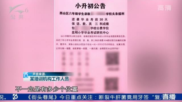 培训机构打出广告 包公费学位?小升初录取有“猫腻”?