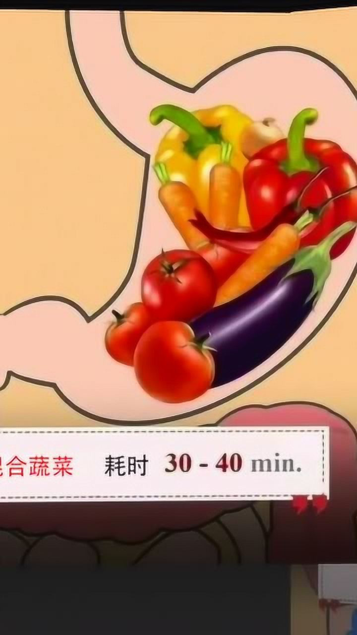 各种食物进到胃里停留时间差别很大水竟然这么快