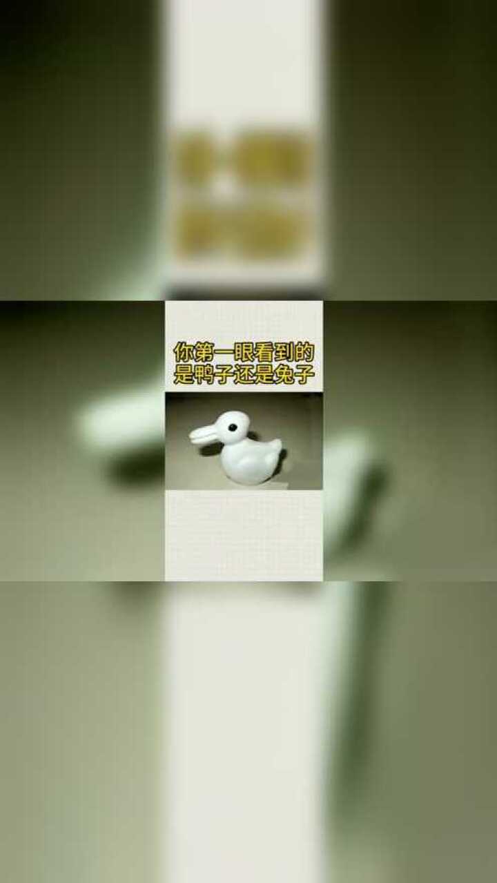 智商测试你第一眼看到的是鸭子还是兔子看看你最近压力大吗