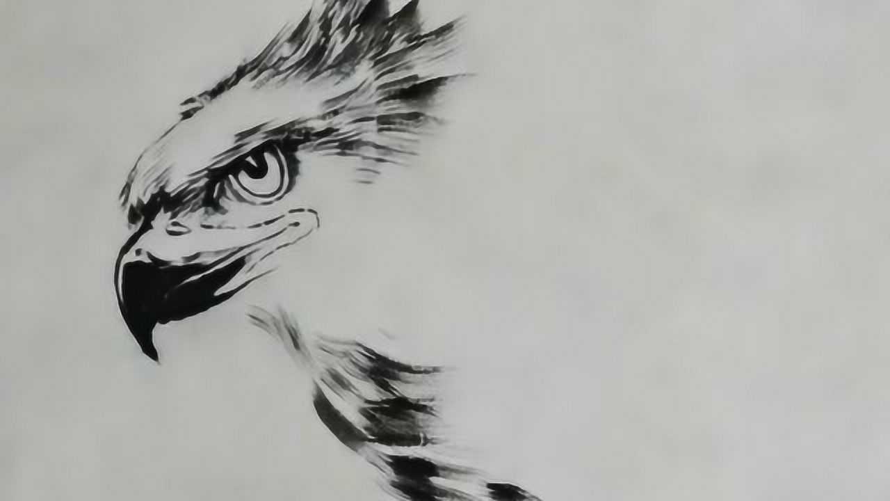 中国著名画家李毅最拿手的就是画老鹰他画出来的老鹰栩栩如生跟真的一