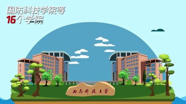 数据上的名校西南科技大学