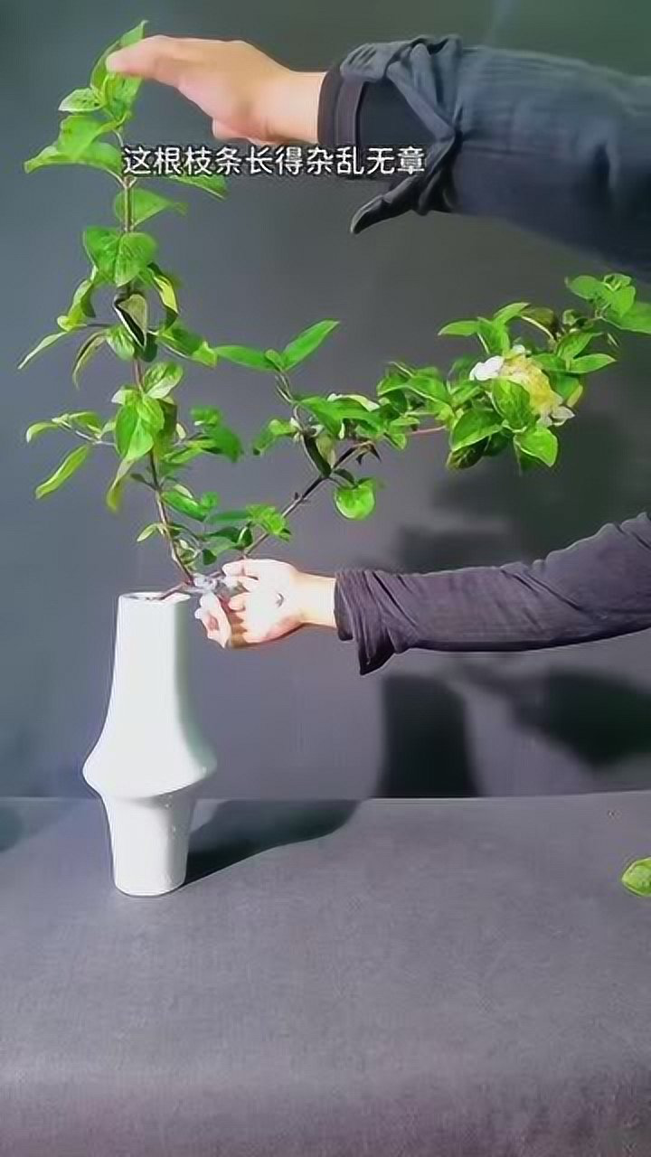 插花艺术枝条修剪