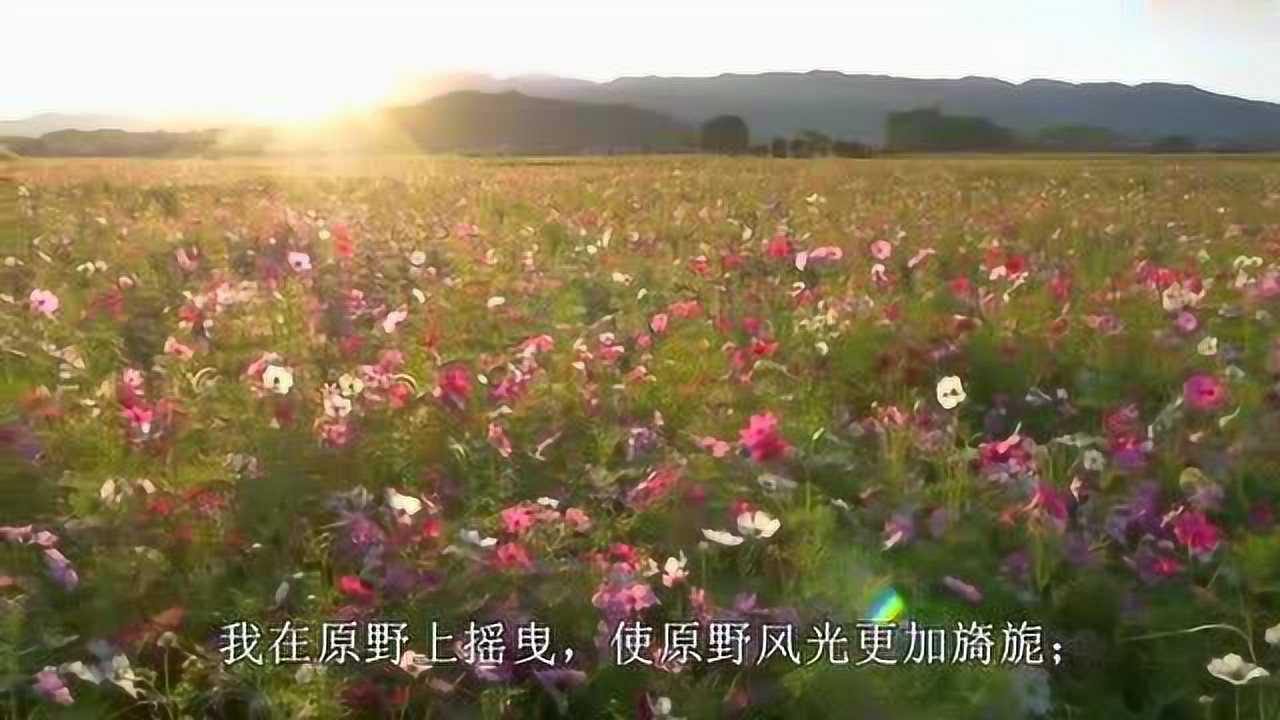 六年级上册语文课文朗读视频-4花之歌(部编版)_腾讯视频