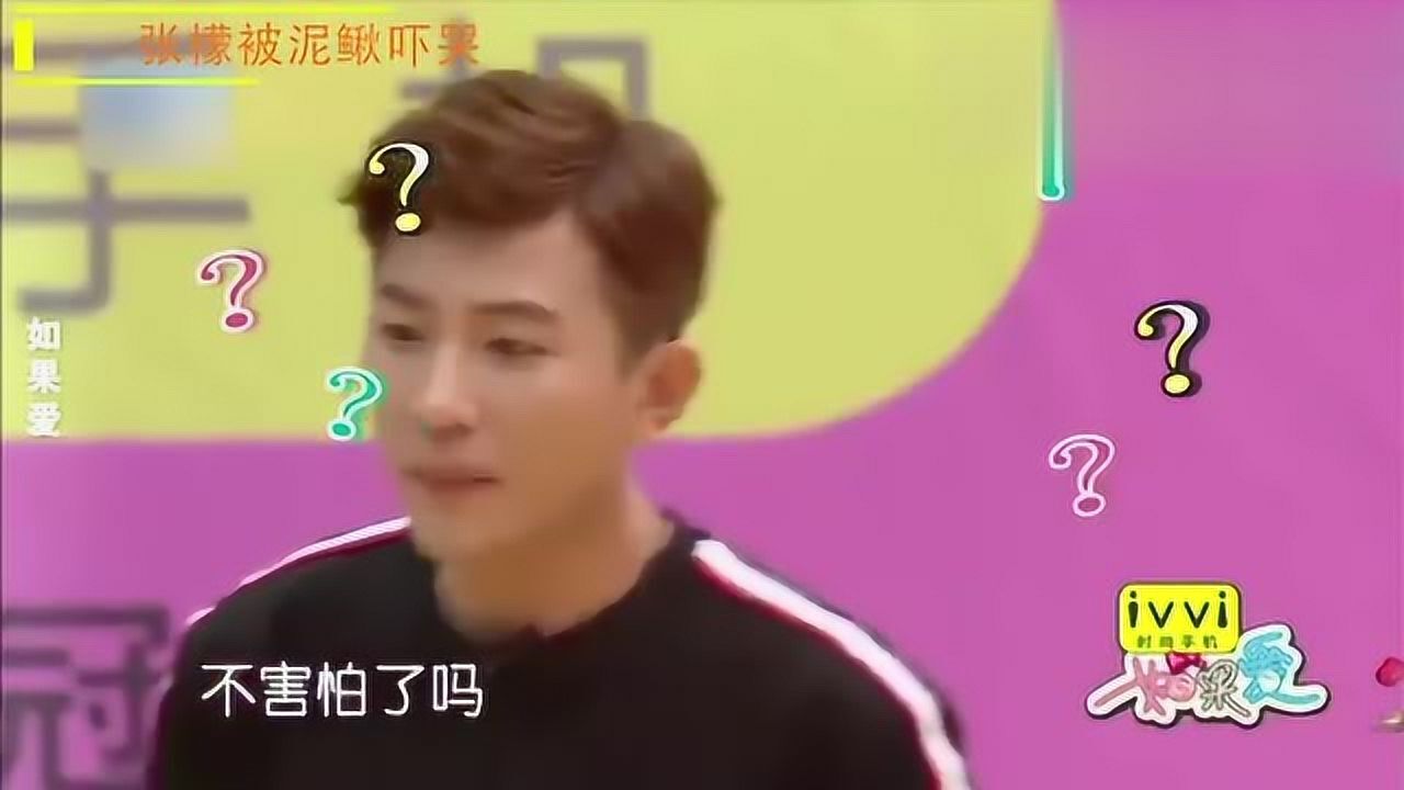 女明星综艺吓哭合集,杨幂恐高不停流泪,李沁站蹦极台上崩溃大哭_高清1080P在线观看平台_腾讯视频