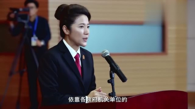 阳光下的法庭经过不懈努力,白院长带领大家终于把栾坤案破获了