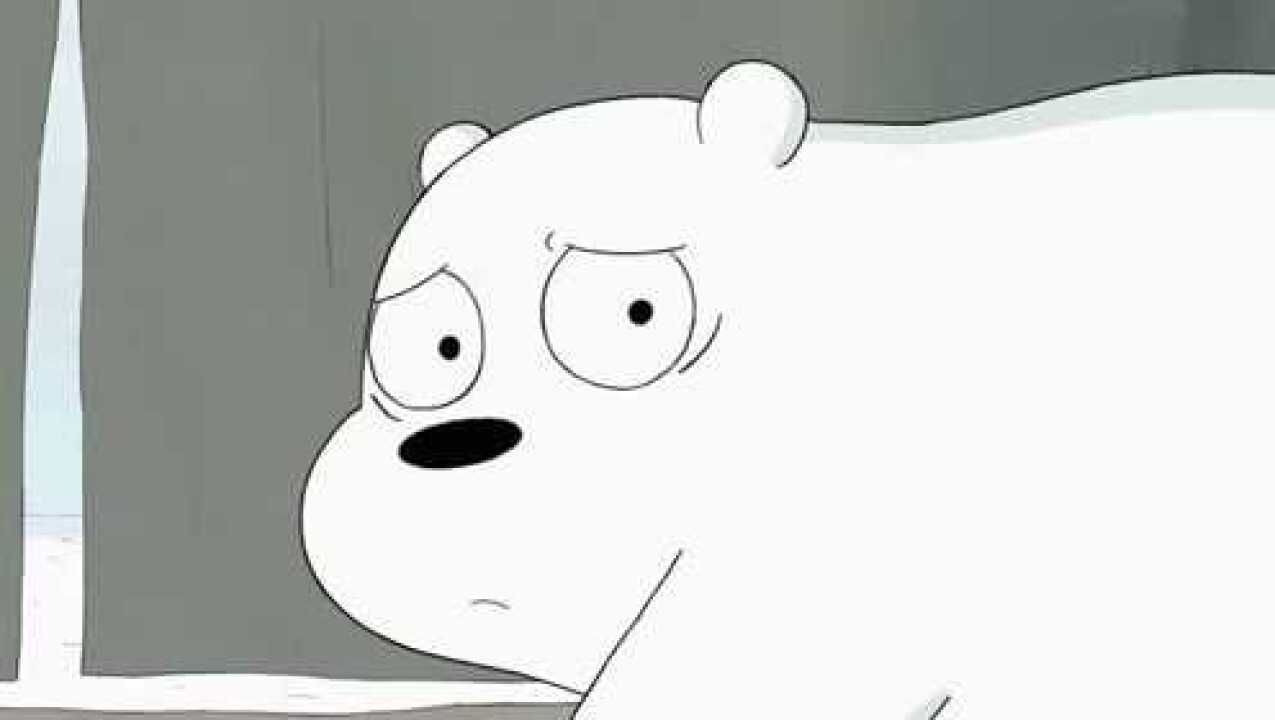 咱们裸熊白熊被尤利当小偷追着打尤利却受伤了