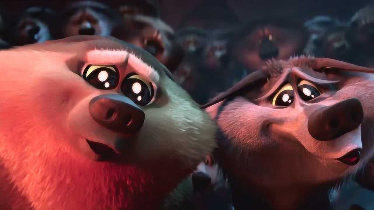 逗鸟外传萌太狼简直是二哈版的变形金刚笑得不行了