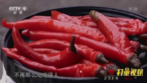 舌尖上的中国：泡椒是烹饪调味料，更是挥之不去的乡愁|央视网