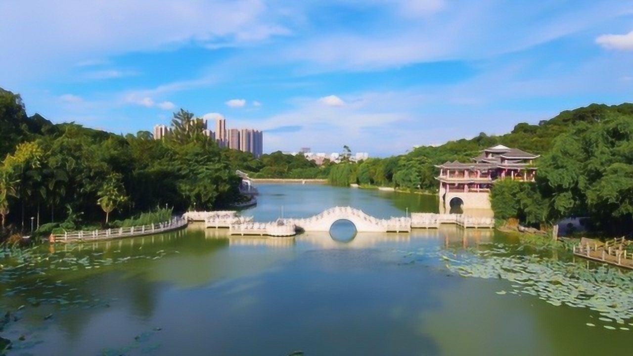 七月是南宁狮山公园最美的季节之一,荷花开了,出来赏花拍照