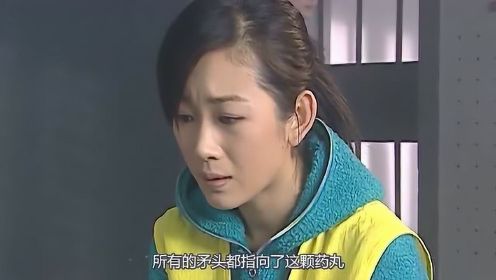 速看《红罂粟2》第18集：韩绪为汪琪提供法律援助，赵小奇得知汪琪杀人