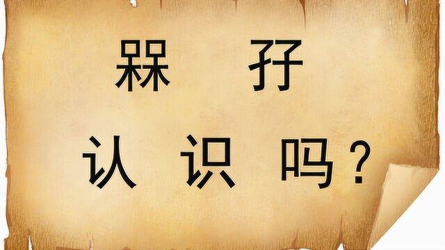 汉字解密:“槑”和“孖”,你认识吗?很好玩的一对文字