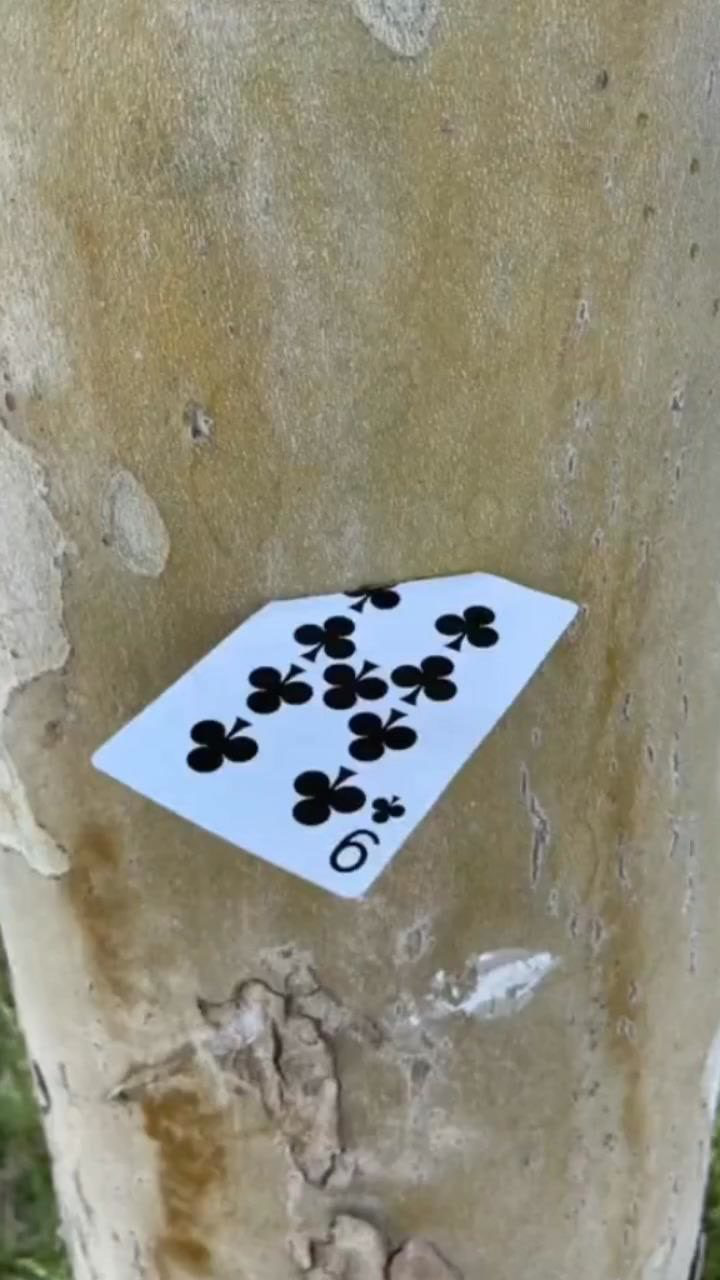 回旋扑克牌,苦练三年魔术.