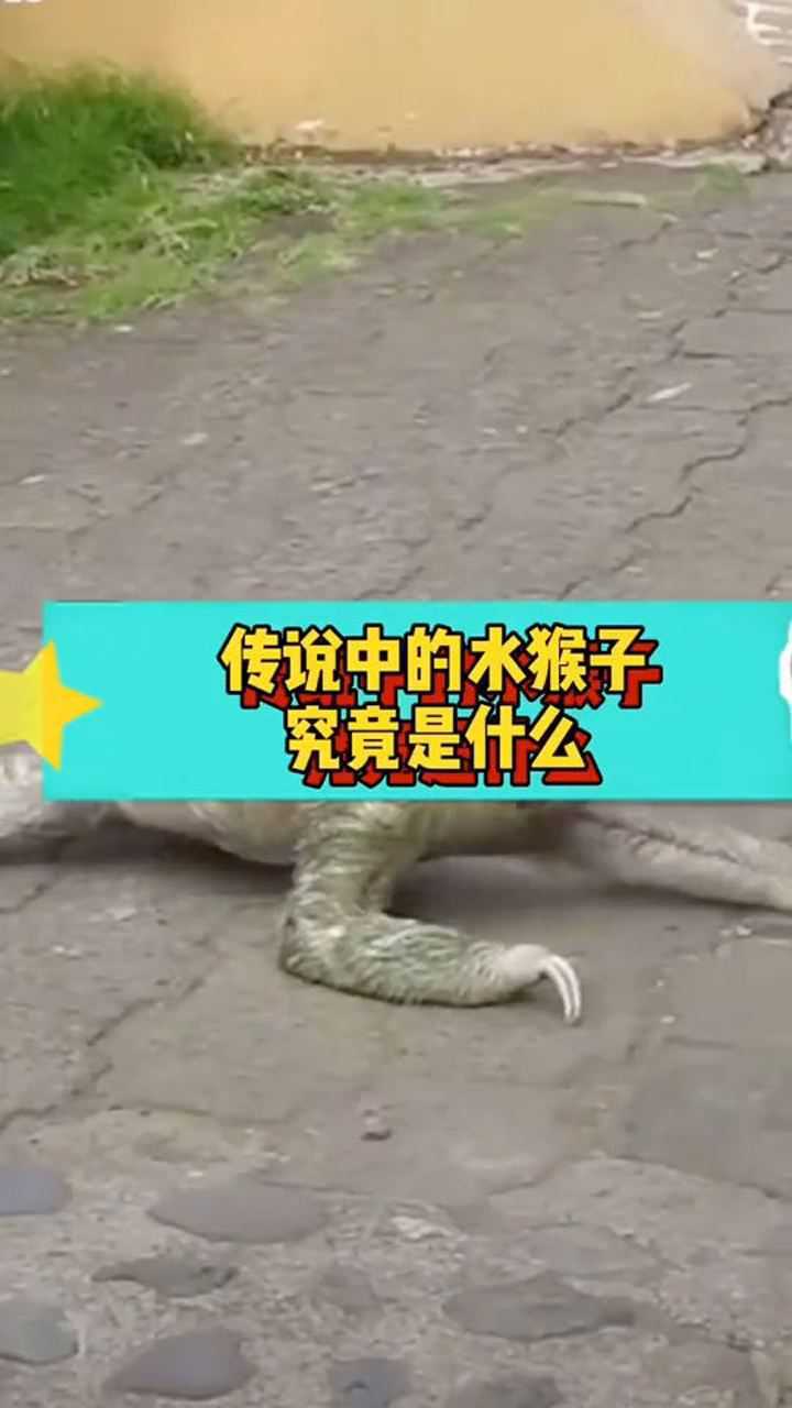 传说中的水猴子到底是个什么东西