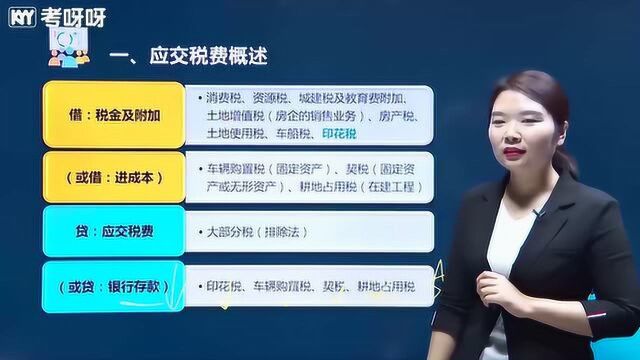 考呀呀苹果老师初级会计实务课程第三章第四节应交税费(一)