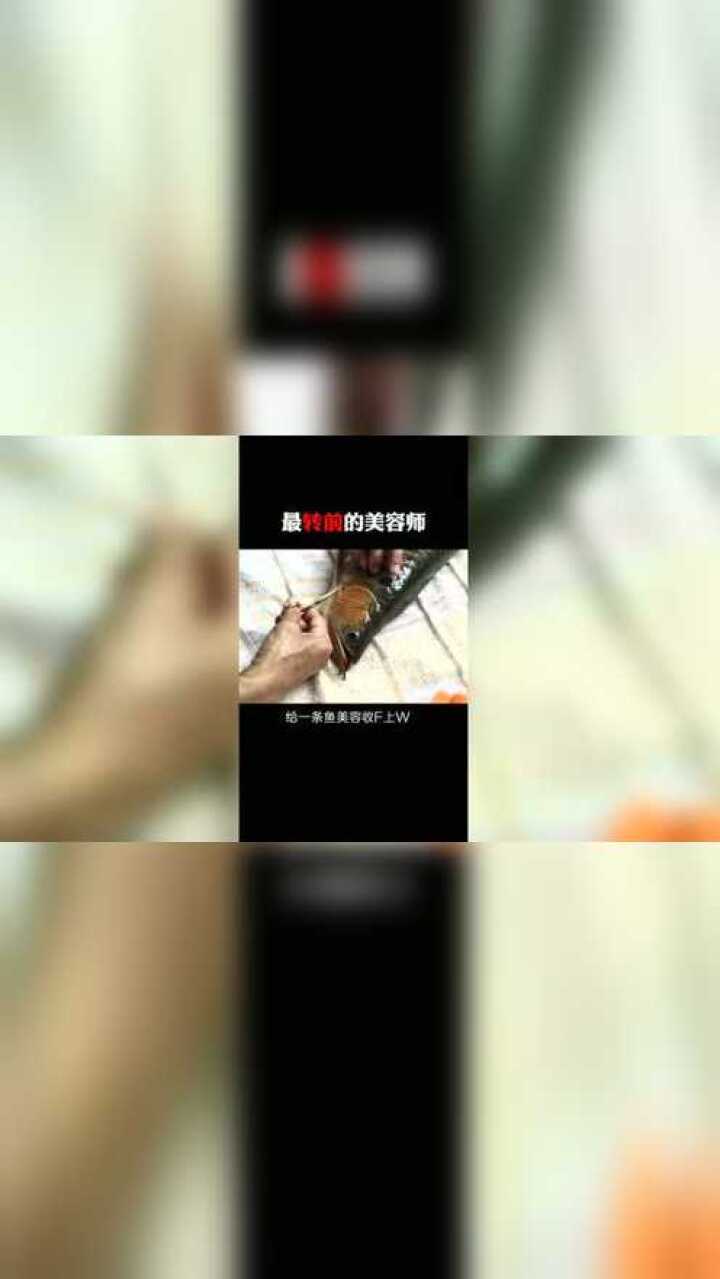 这是目前最赚钱的美容师,高风险也高回报,服务对象有点特殊!腾讯视频