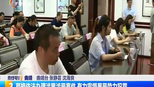 严格依法办理涉黑涉恶案件 有力震慑黑恶势力犯罪