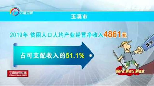 玉溪市:坚持把脱贫质量放在首位