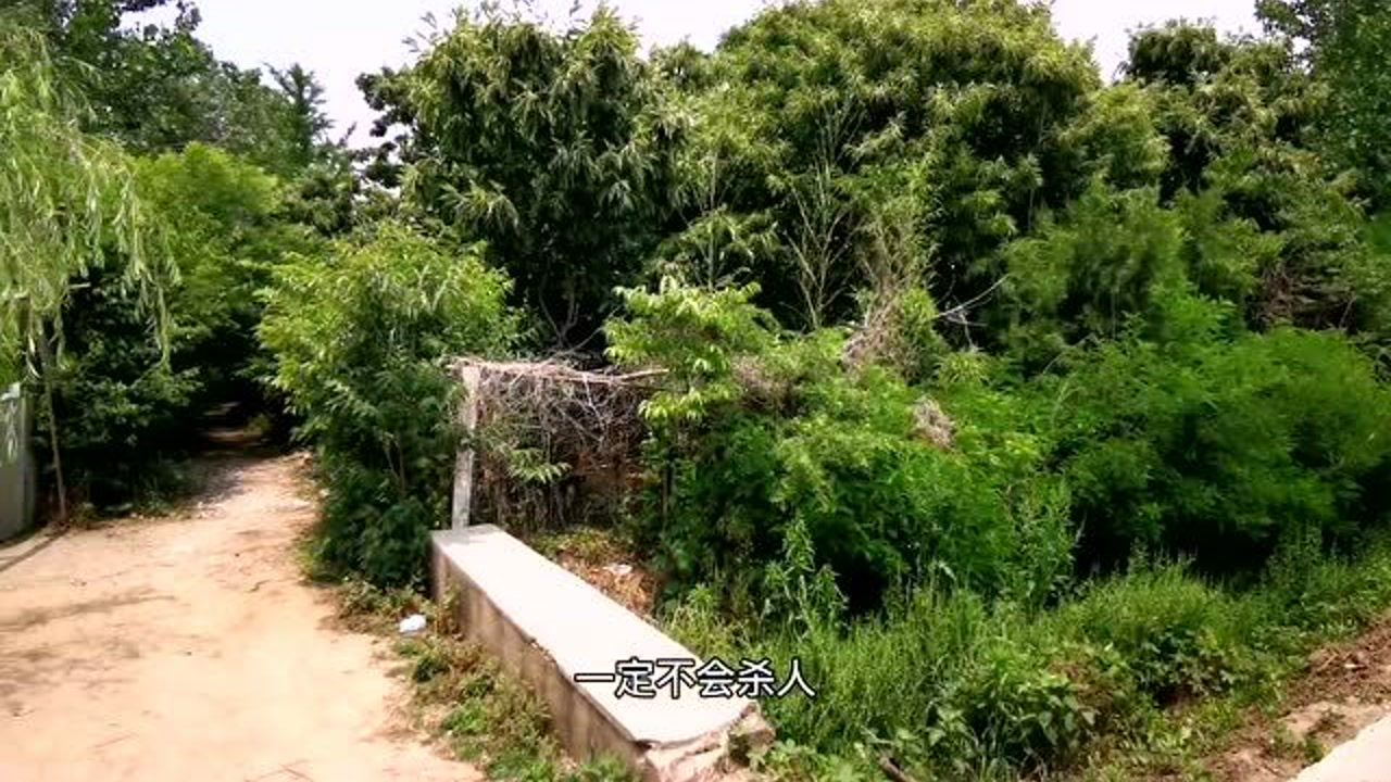 窦娥墓,窦娥冤,坟头千百年来不长草