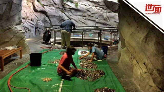 水族馆闭馆近半年资金告急 许愿池竟如此“显灵”救急