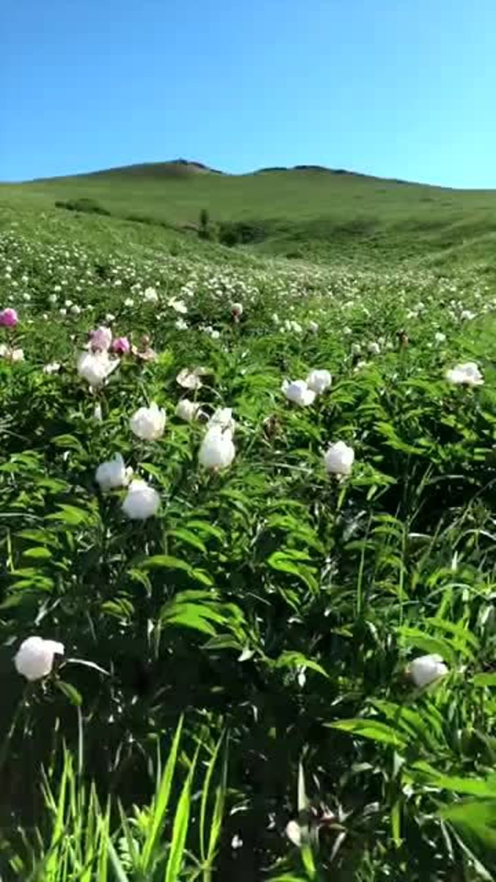 烏拉蓋山藥谷,好想置身其中去感受這種人間仙境,風景如畫般的景色!