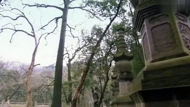 水浒传:除你之后再无知己豹子头葬于六合寺,愿来生无梁山