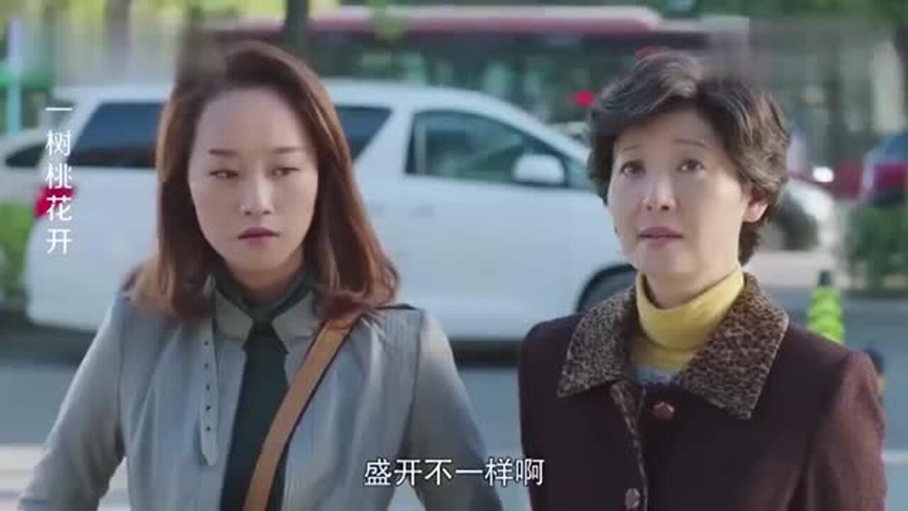 一树桃花开盛开经济困难哪料负心亲爹送她个店铺盛开看呆了