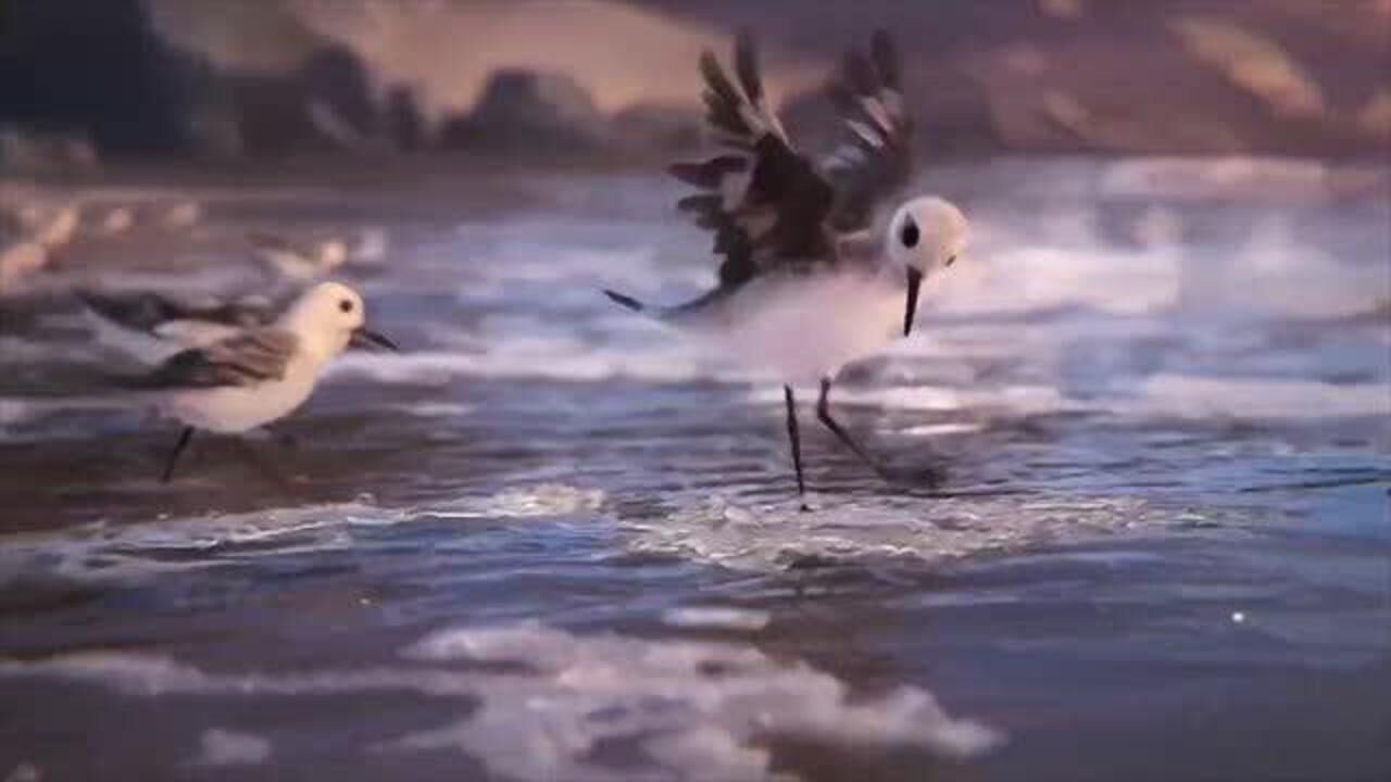 魏子奇——鹬piper配音_高清1080P在线观看平台_腾讯视频