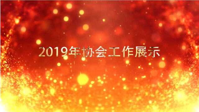 安徽省安防协会2019年工作展示