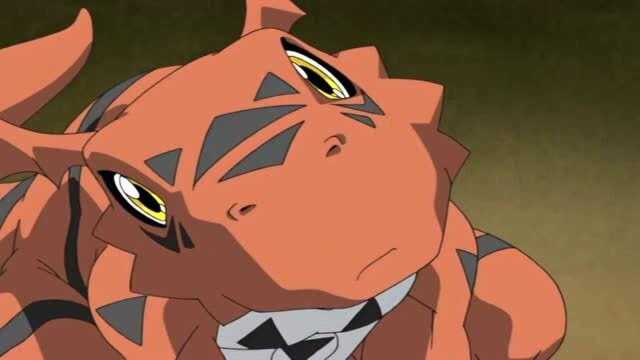 数码宝贝:基尔兽小时候太萌了!简直看不够!