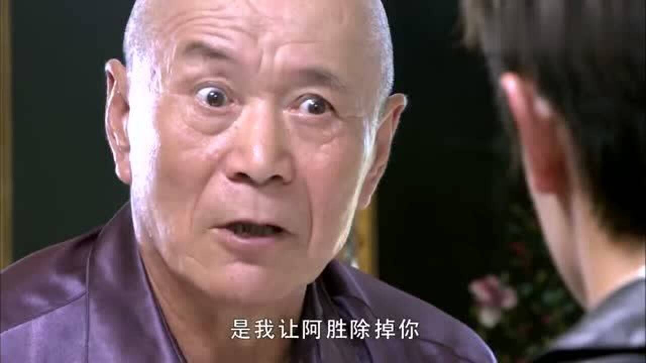 双生花因为高俊飞的坦诚白荣山告诉了高俊飞一件事