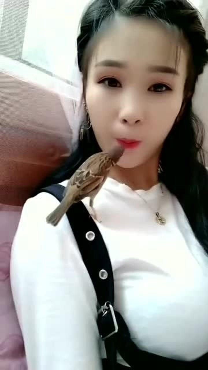 漂亮的女孩有这技术,鸟儿不但不走还为主人当牙签