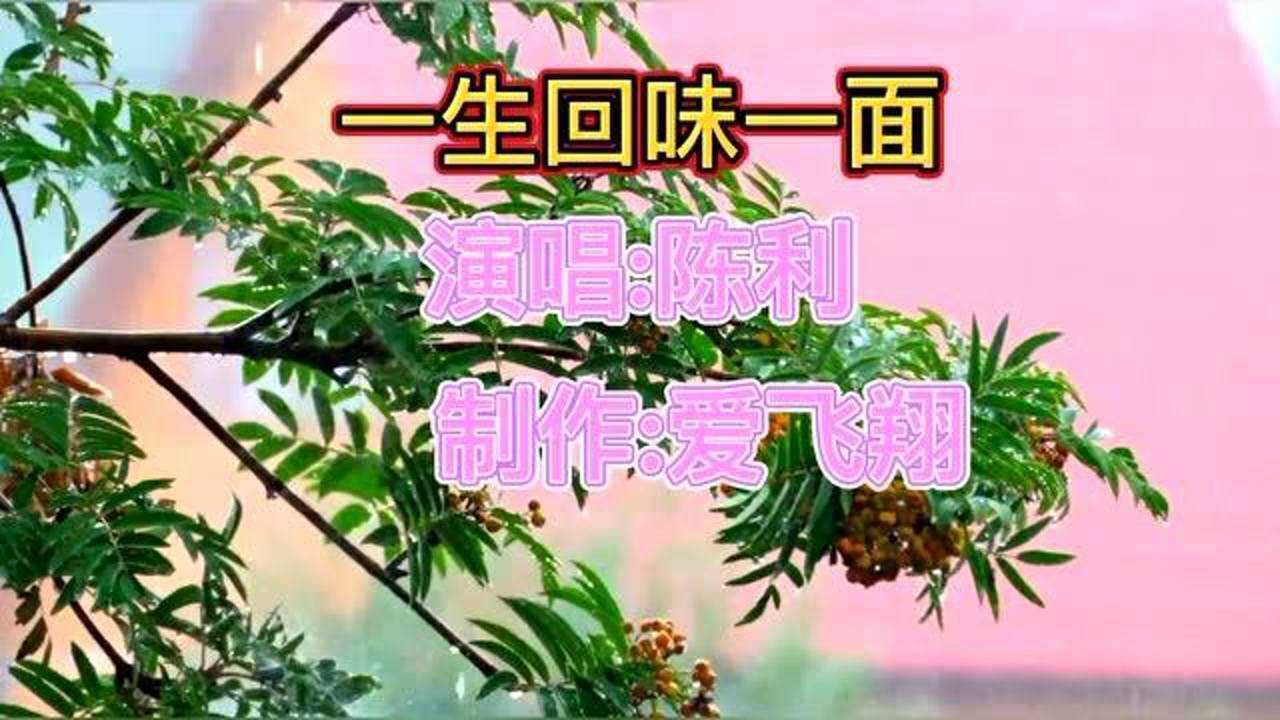 陈利的一首《一生回味一面》动感的节奏,优美的旋律.来听听吧